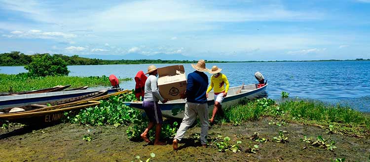 452-productores-de-la-Región-Caribe