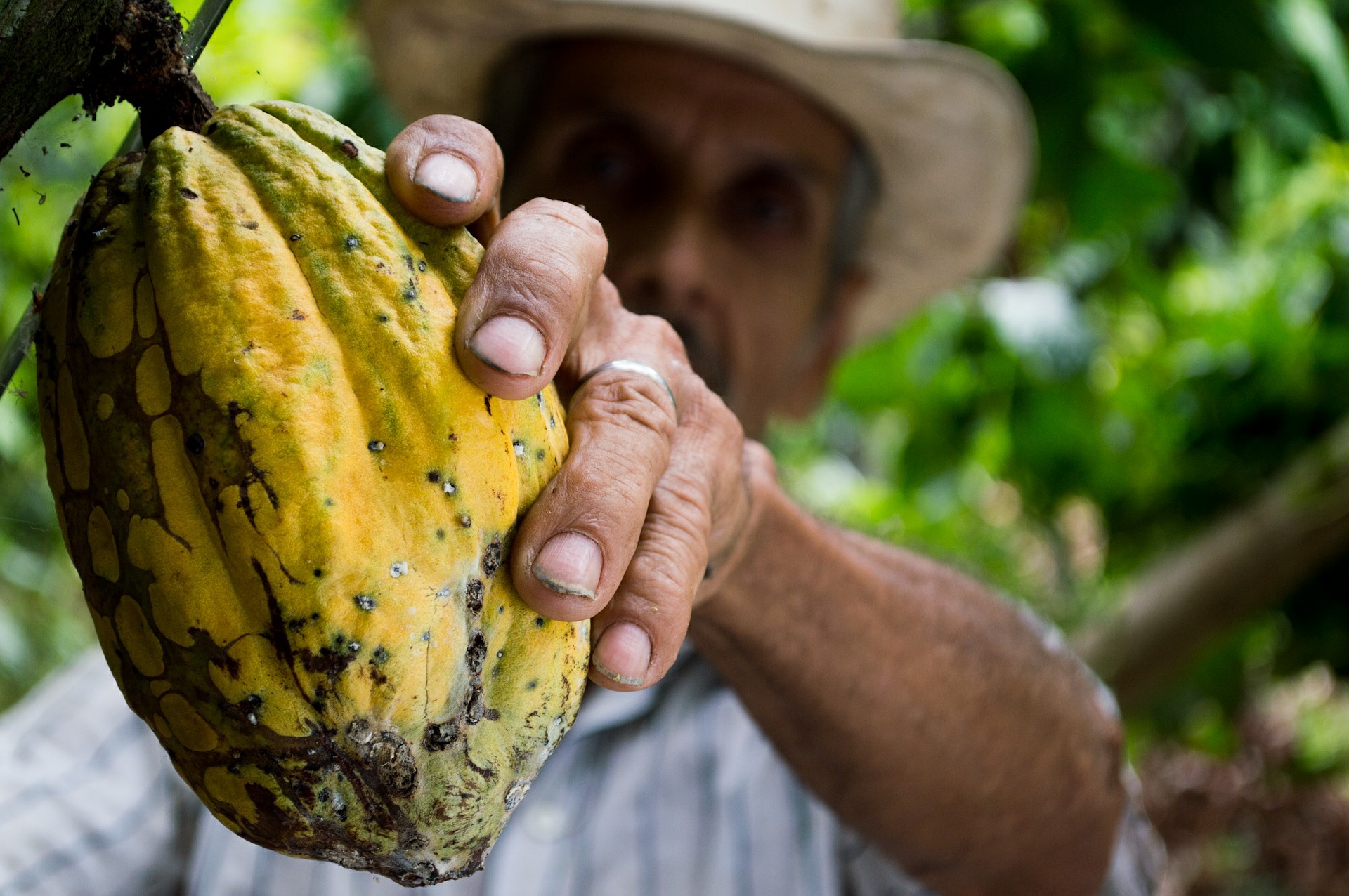 La-política-agrícola-salvó-al-sector-en-la-pandemia