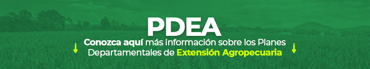 PDEA-banner