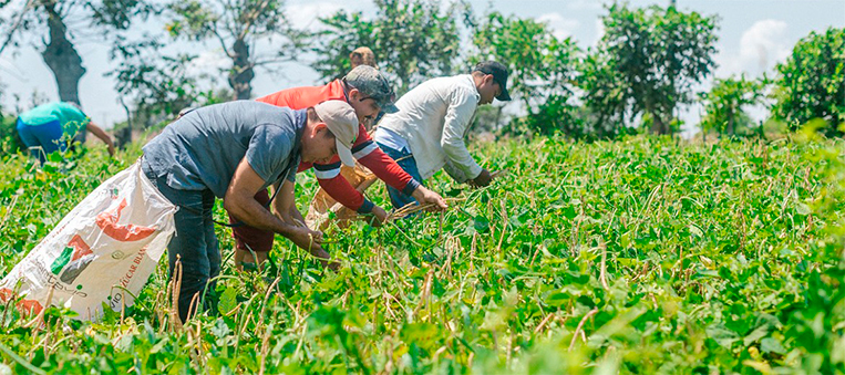 1-​​Guainía-ya-cuenta-con-Plan-Departamental-de-Extensión-Agropecuaria​​