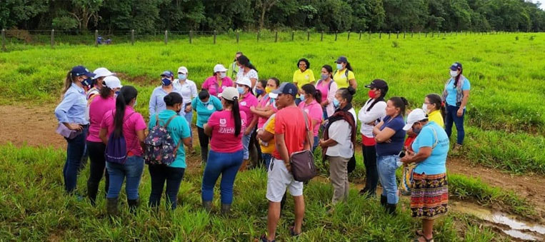 10-proyectos-ganaderos-mujeres-guaviare