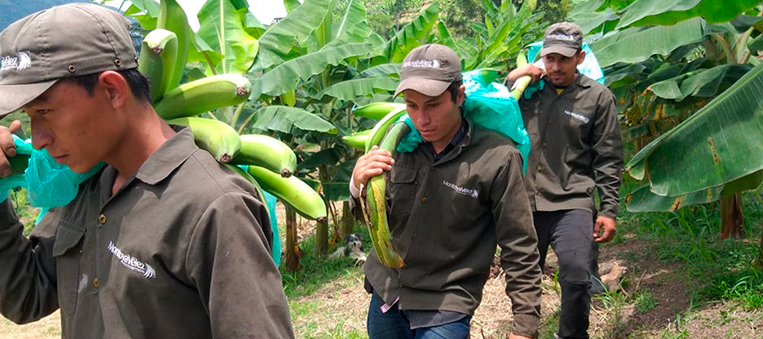 14-Caldas-y-Quindío-aprobaron-sus-PDEA,-gracias-al-apoyo-de-la-ADR