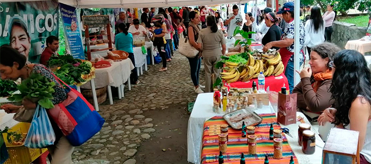 19-Maratón-de-Mercados-Campesinos-de-la-ADR-logró-ventas-por-más-de-$80-millones