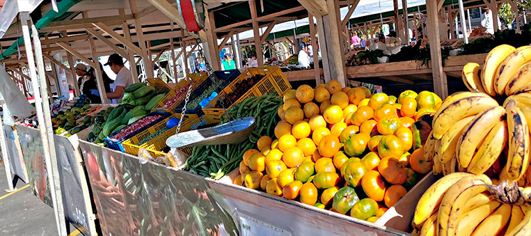 7-La-formalización-de-mercados-campesinos,-ferias-y-ruedas-de-negocios-es-una-realidad-gracias-a-la-ADR