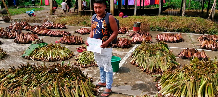 9-42-productores-del-Cauca