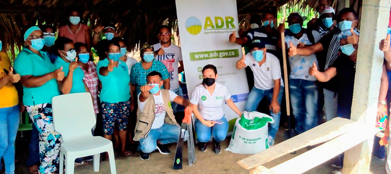 79-familias-siembran-plátano-Hartón-en-Córdoba-gracias-a-la-ADR