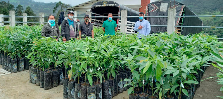 Sueño exportador de productores de Cundinamarca que la ADR acompaña