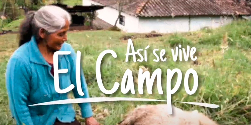 videos mes de noviembre