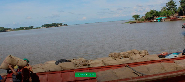 ADR y Fedearroz suman esfuerzos para planta para arroceros de la Mojana