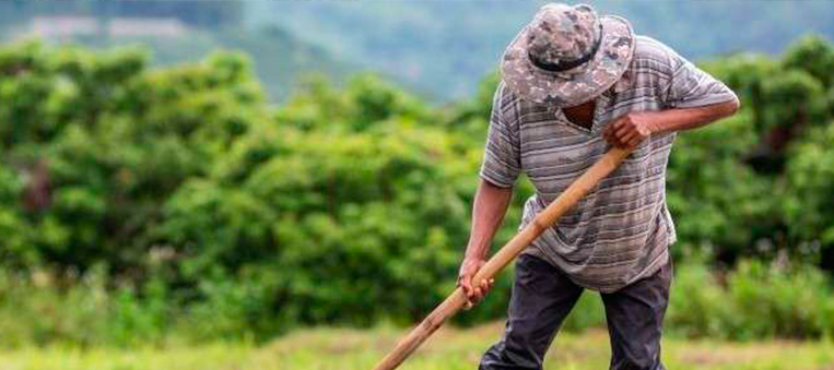 Convenios para el agro del Quindío por $22.000 millones