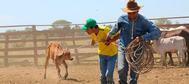 Más de 700 familias campesinas vichadenses recibirán acompañamiento técnico