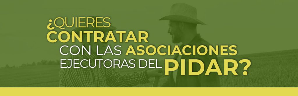 BANNER DE TERMINOS DE REFERENCIA PIDAR