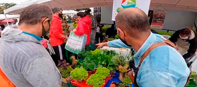 Mercados campesinos del Quindío son referentes nacionales