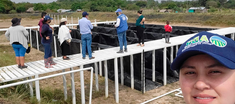 BOLETIN PORE CASANARE