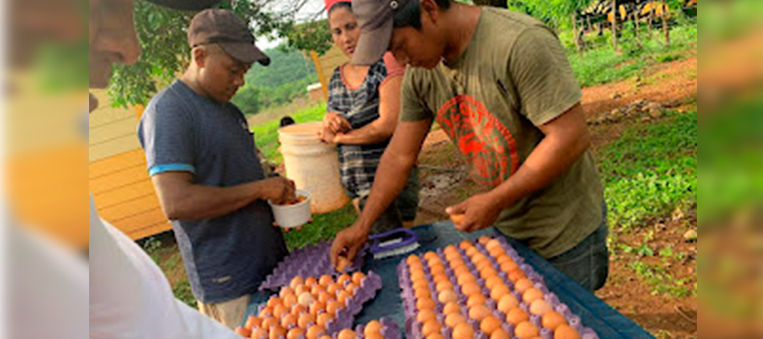 La Agencia de Desarrollo Rural lleva acabo un proyecto en La Guajira, beneficiando a la Comunidad Indígena Wayuu