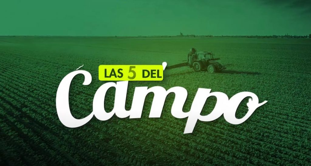videos mes de abril