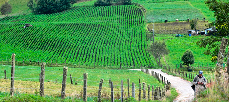 AGROSAVIA-y-ADR-juntos-por-el-campo