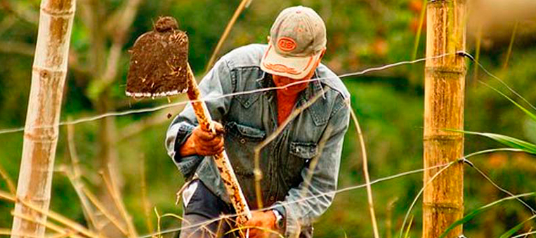 Campesinos-recibieron-más-de-$1.000-millones-en-activos-productivos