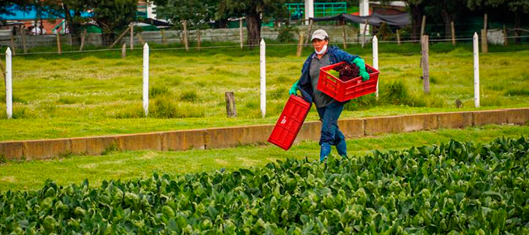 Con una inversión de $5 mil millones beneficiarán a 284 mujeres rurales en cuatro departamentos