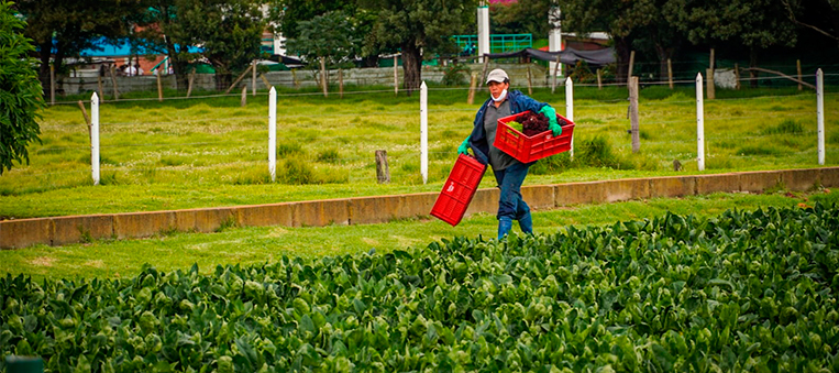 mujer-rural-fondo-emprende-y-adr