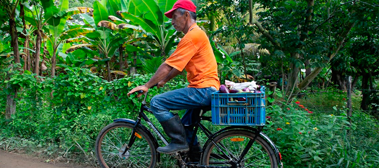 productores en bicis rurales