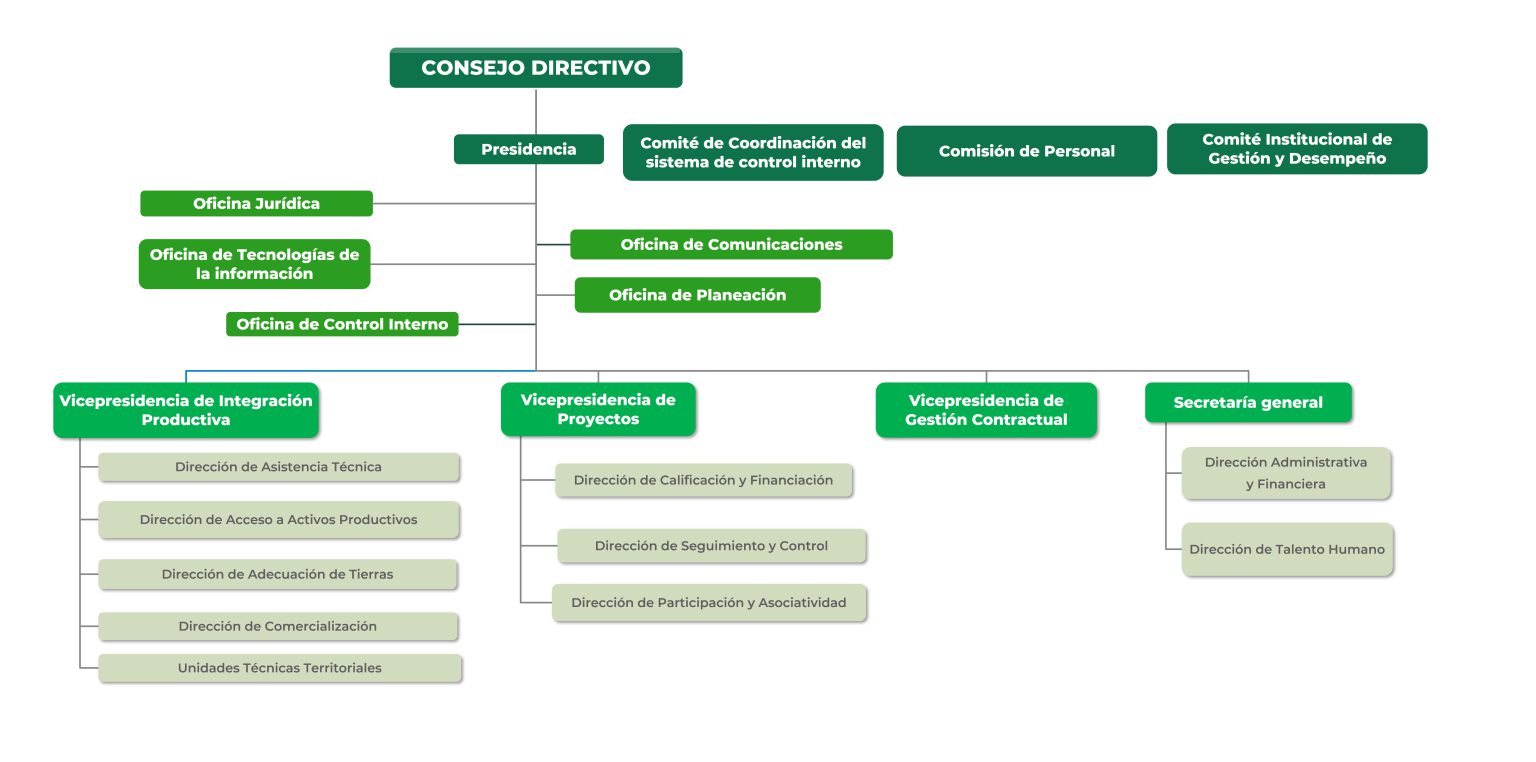 Organigrama 2022s