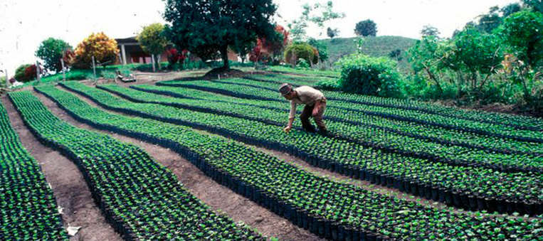 Proyecto de ley para la lucha contra el hambre