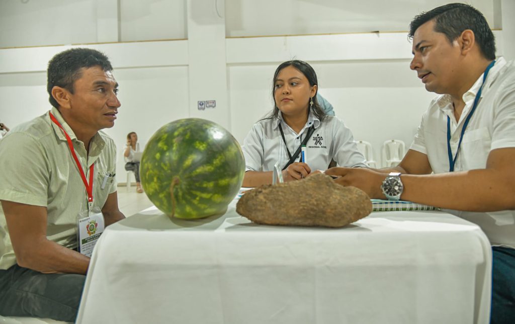 BOLETIN DE COMPRAS PUBLICAS DE LA AGENCIA DE DESARROLLO RURAL CON PRODUCTORES EN ALIANZA CON OTRAS ENTIDADES