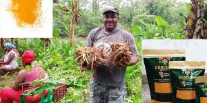 La cúrcuma de Bojayá llegó a Italia