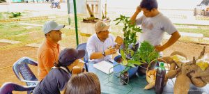 BOLETIN DE VICHADA - META