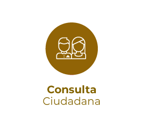 Consulta-Ciudadana