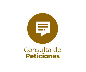 Consulta-de-Peticiones