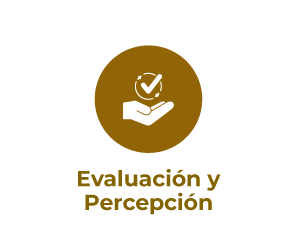 Evaluacion-y-percepcion