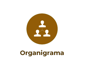 Organigrama