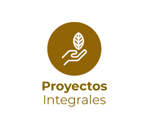 Proyectos-Integrale