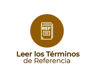 Términos de Referencia