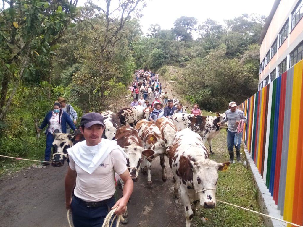 Agencia de Desarrollo Rural fortalece la economía campesina de 51 familias de Boyacá