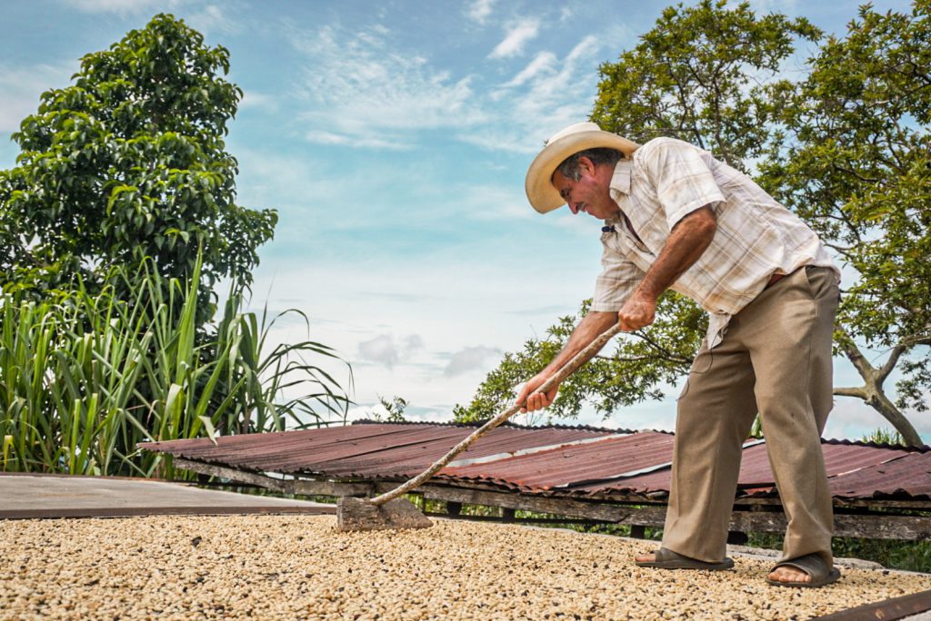 En el DÍA Internacional del Café, proyectos productivos Rurales