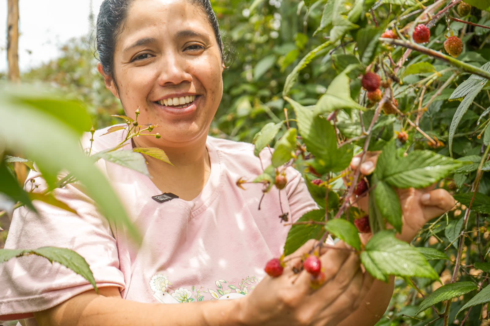 Mujer campesina: eje de paz y desarrollo rural