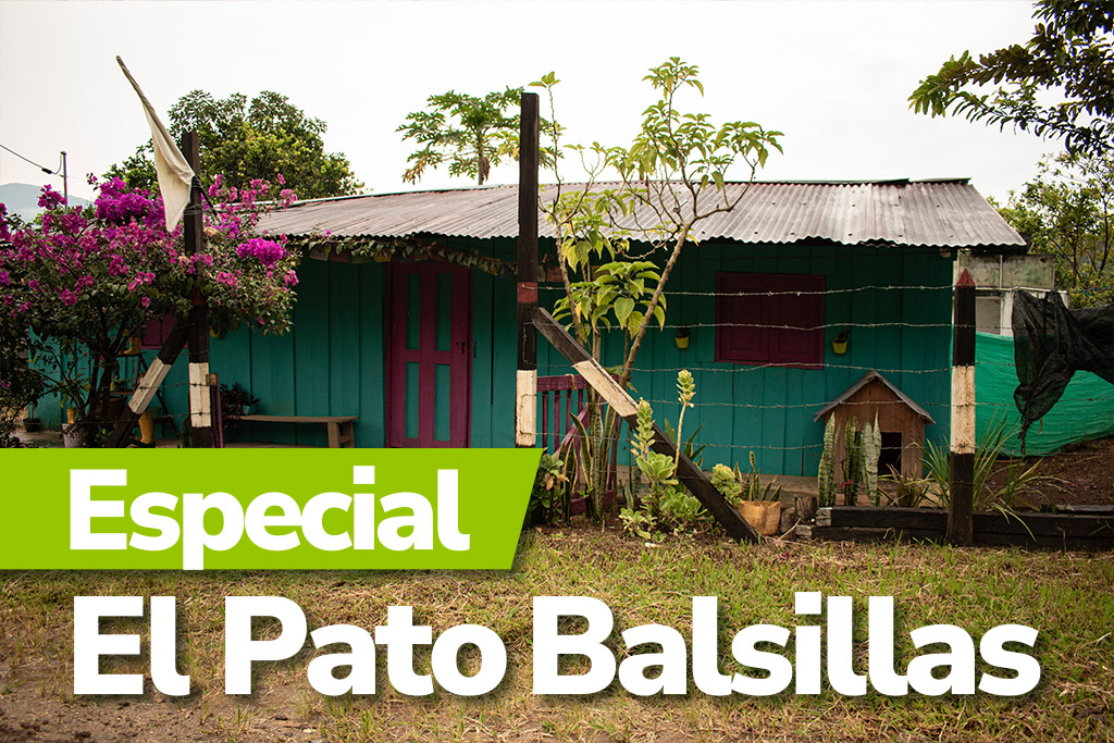 Banner especial El Pato Balsillas