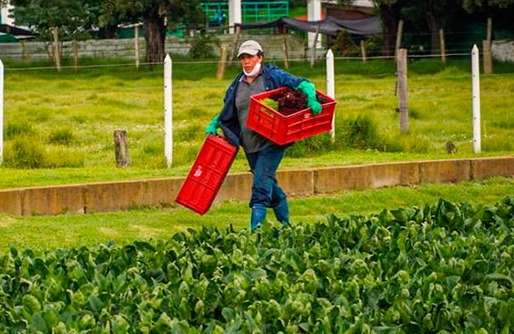 En el Eje Cafetero avanzan proyectos de la Agencia de Desarrollo Rural