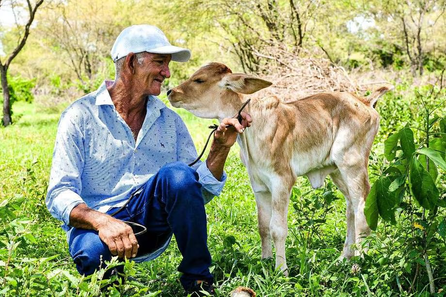 ¿Cuáles fueron las últimas inversiones agro que realizó el Gobierno en el Caribe?