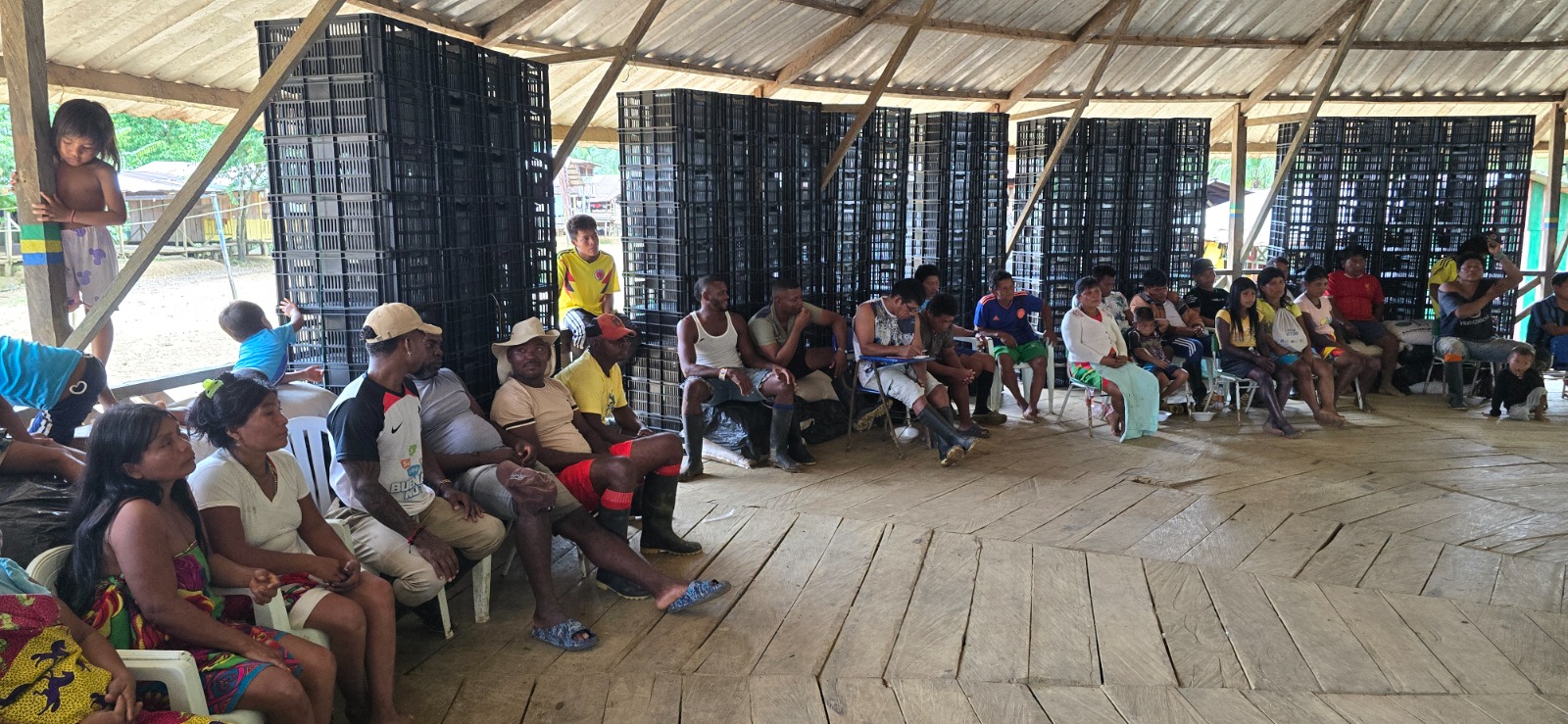 El plátano que cultivará el pueblo Uva-Pogue, no solo será para la seguridad alimentaria de su comunidad sino para mejorar los ingresos de las familias. Foto: Mónica Restrepo (ADR)
