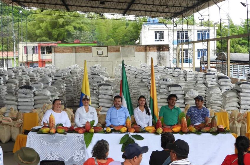 Precio del cacao y el apoyo al sector tiene a productores de Pauna en bonanza