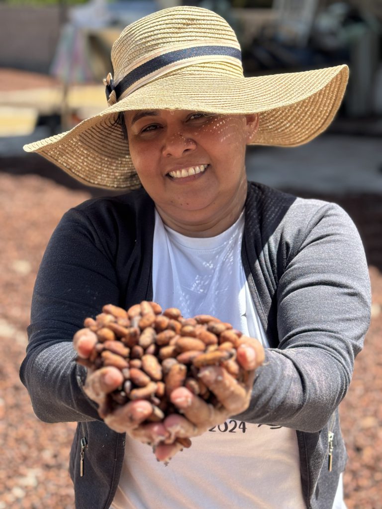 En Agustín Codazzi, las mujeres aportan sus capacidades productivas, asociativas y comerciales para convertir el cacao en una opción económica rentable. Foto- Daniela Cárdenas (ADR)