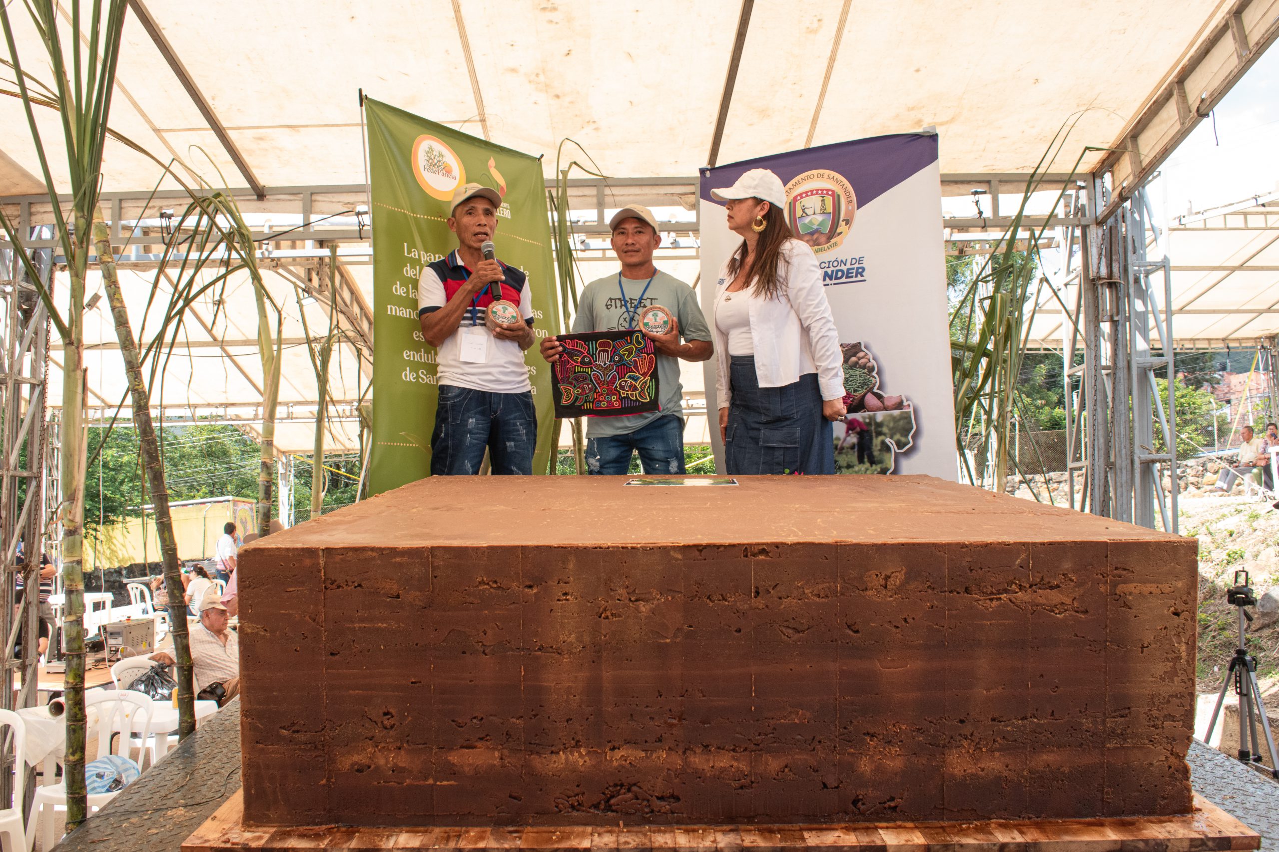 El logro del récord Guinness promueve la cultura regional, fortalece la economía local y fomenta el desarrollo social. Foto: Lisa Trujillo (ADR)