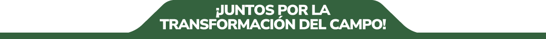 Pie de Página Juntos por la transformación del campo