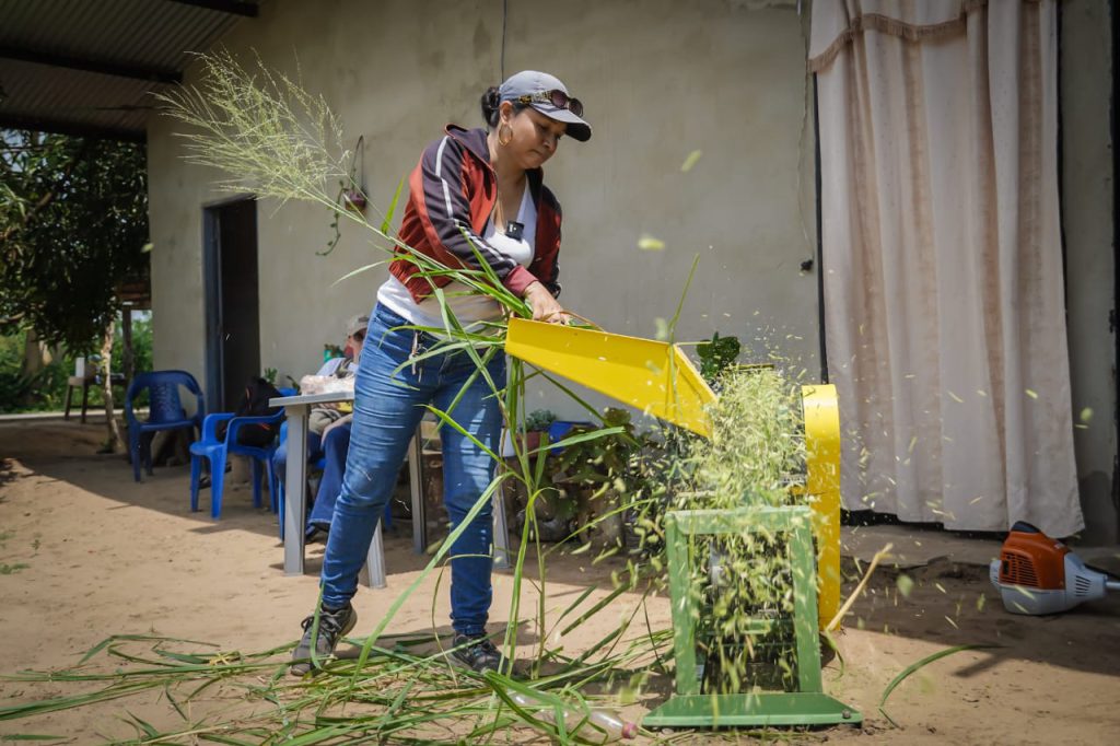 97 mujeres rurales impulsan una nueva era ganadera en el Cesar