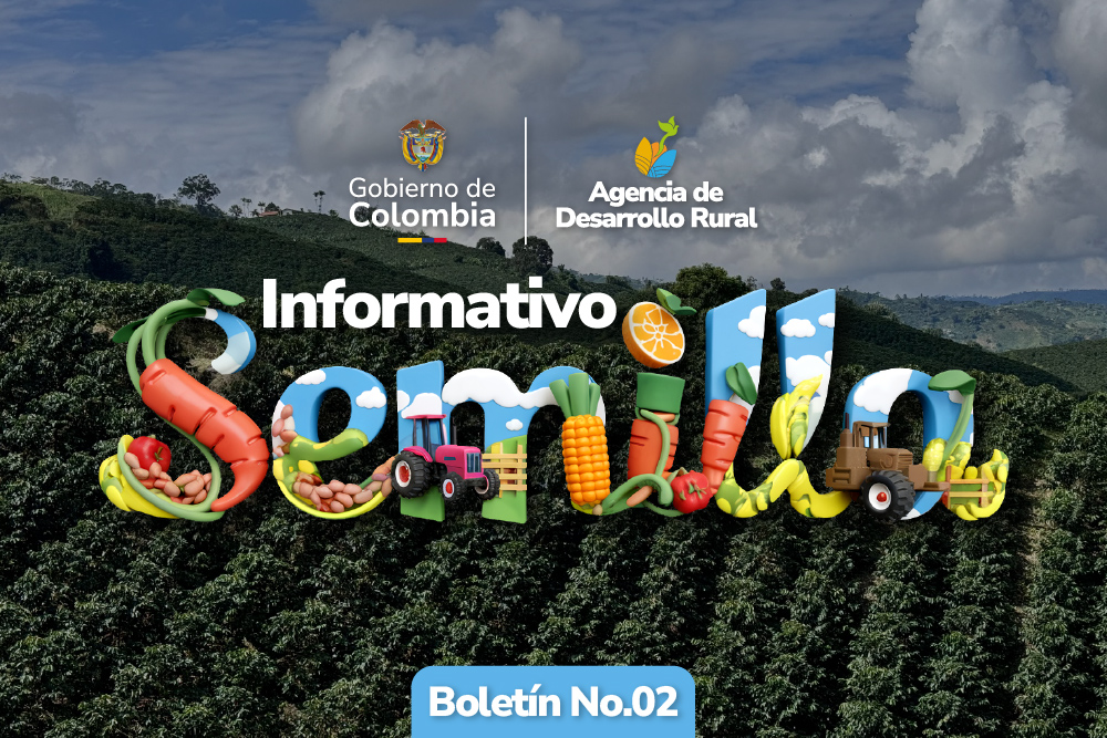 Banner Boletín Semilla o2 2025