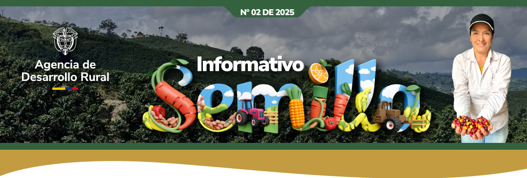 Caberzote Boletín Semilla 2 2025